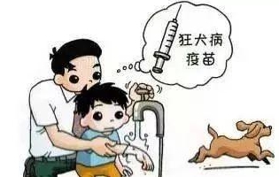 最新狂犬病發作視頻，理解與應對的挑戰