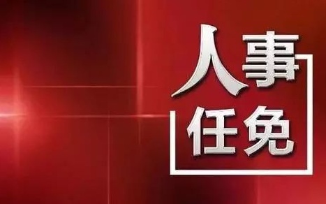 中央最新人事任免，蔡某某的新職務(wù)與未來展望