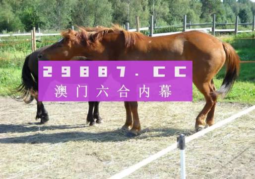 4949澳門特馬今晚開獎|規劃釋義解釋落實