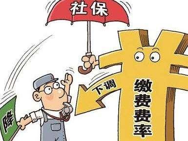 上海最新社?；鶖?shù)